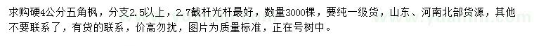 求購硬4公分五角楓