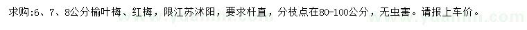 求購6、7、8公分榆葉梅、紅梅