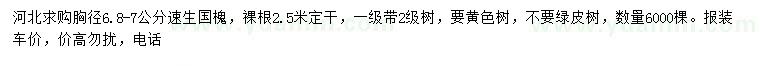 求購(gòu)胸徑6.8-7公分速生國(guó)槐