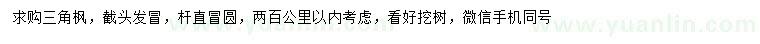 求購三角楓
