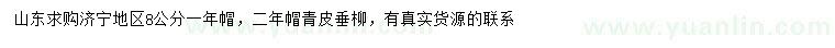 求購8公分青皮垂柳