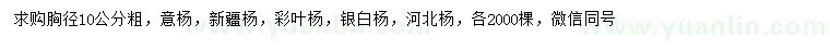 求購意楊、新疆楊、彩葉楊等