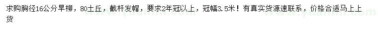 求購胸徑16公分旱柳