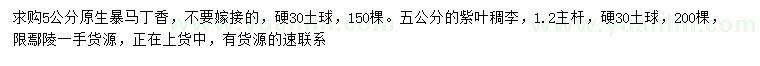 求購5公分暴馬丁香、紫葉稠李