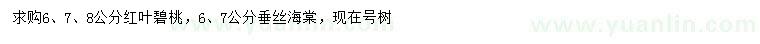 求購6、7、8公分紅葉碧桃、6、7公分垂絲海棠