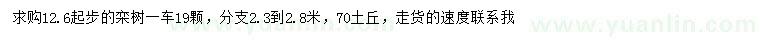 求購12.6公分以上欒樹