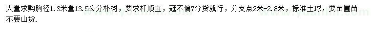 求購(gòu)1.3米量13.5公分樸樹(shù)