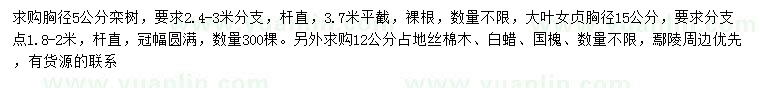 求購欒樹、大葉女貞、絲棉木等