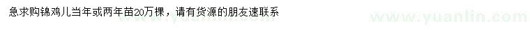 求購一年生、二年生錦雞兒