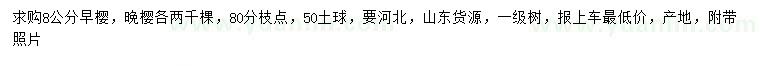 求購8公分早櫻、晚櫻