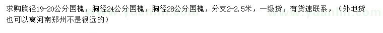 求購胸徑19-20、24、28公分國槐