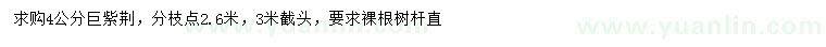 求購4公分巨紫荊