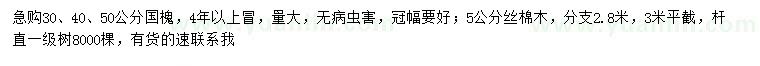 求購(gòu)30、40、50公分國(guó)槐、5公分絲棉木