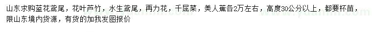 求購藍花鳶尾、花葉蘆竹、水生鳶尾等