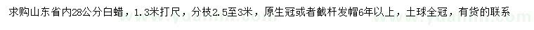 求購28公分白蠟