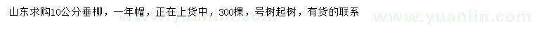 求購10公分垂柳