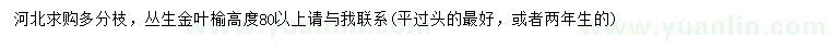 求購高80公分以上叢生金葉榆