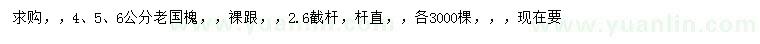 求購4、5、6公分老國槐