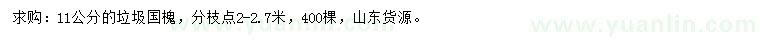 求購11公分國槐