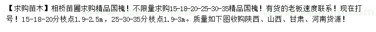 求購(gòu)15、18、20、25、30、35公分精品國(guó)槐