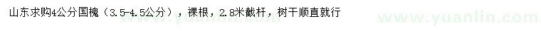 求購4公分國槐