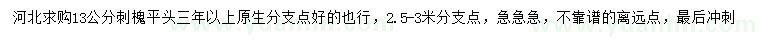 求購13公分刺槐
