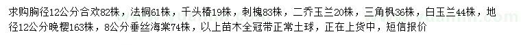 求購合歡、法桐、千頭椿等