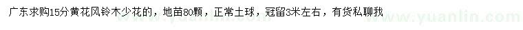 求購(gòu)15公分黃花風(fēng)鈴木