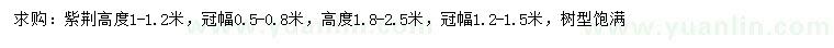 求購高1-1.2、1.8-2.5米紫荊