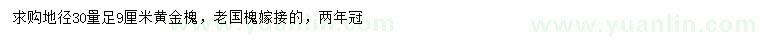 求購地徑30量9公分黃金槐