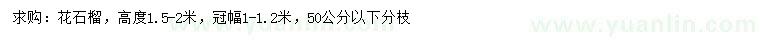 求購(gòu)高1.5-2米花石榴