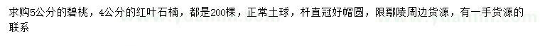 求購5公分碧桃、4公分紅葉石楠