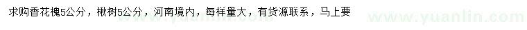 求購5公分香花槐、楸樹