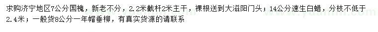 求購國槐、速生白蠟、垂柳