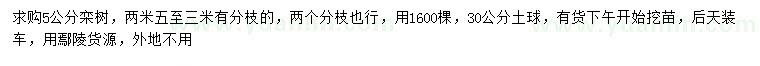 求購5公分欒樹