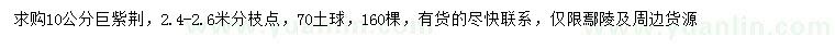 求購10公分巨紫荊