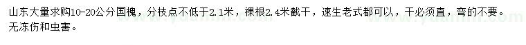求購10-20公分國槐