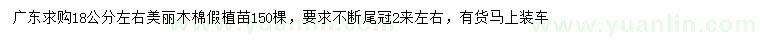 求購18公分左右美麗木棉