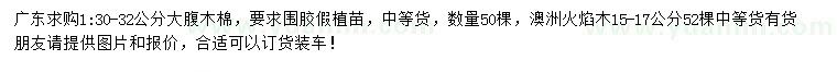 求購30-32公分大腹木棉、15-17公分澳洲火焰木