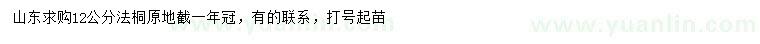求購12公分法桐