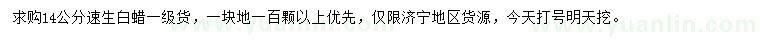 求購14公分速生白蠟