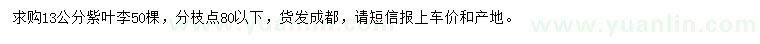求購13公分紫葉李