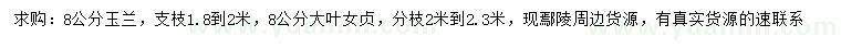 求購8公分玉蘭、大葉女貞