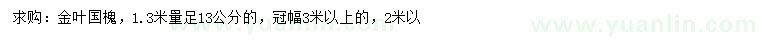 求購1.3米量足13公分金葉國槐