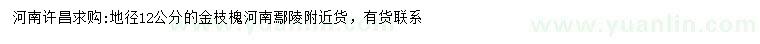 求購地徑12公分金枝槐
