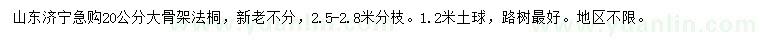求購20公分大骨架法桐