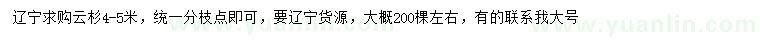 求購4-5米云杉