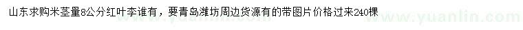 求購米徑量8公分紅葉李