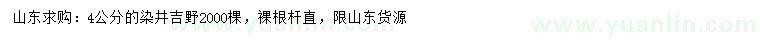 求購4公分染井吉野