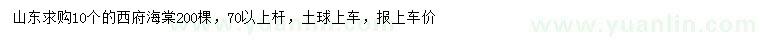 求購(gòu)10公分西府海棠